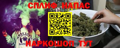 дживик Тверь